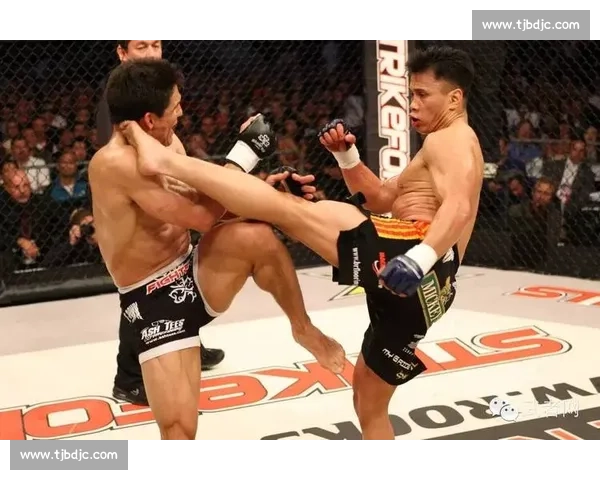 康李大战比斯平 谁将成为新一任轻量级拳王的最大黑马