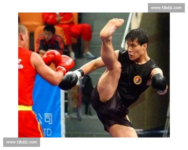 播求对决柳海龙中泰搏击巅峰之战引爆格斗传奇时代英雄正面对抗