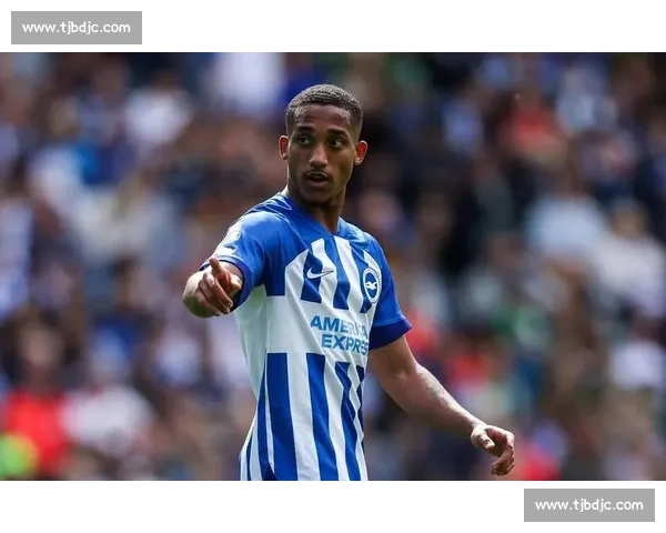 布拉德利vs普罗巅峰对决全面解析赛前战术与胜负走向深度预测展望